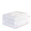 The hotel and homestay's white all-cotton anti-feather quilt core is suitable for spring, autumn and winter, soft, skin-friendly and breathable Item Picture
